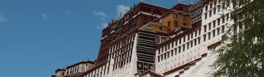 漢方薬局　深谷薬局養心堂